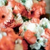 an-bridemaids-bouquet